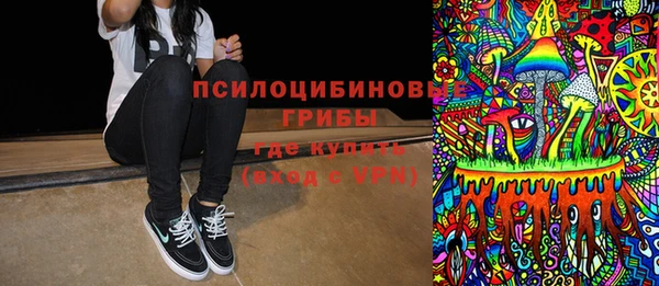 ГАЛЛЮЦИНОГЕННЫЕ ГРИБЫ Белокуриха